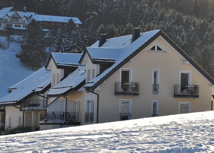 Stimmungsvolle Apartment Willingen (Upland)